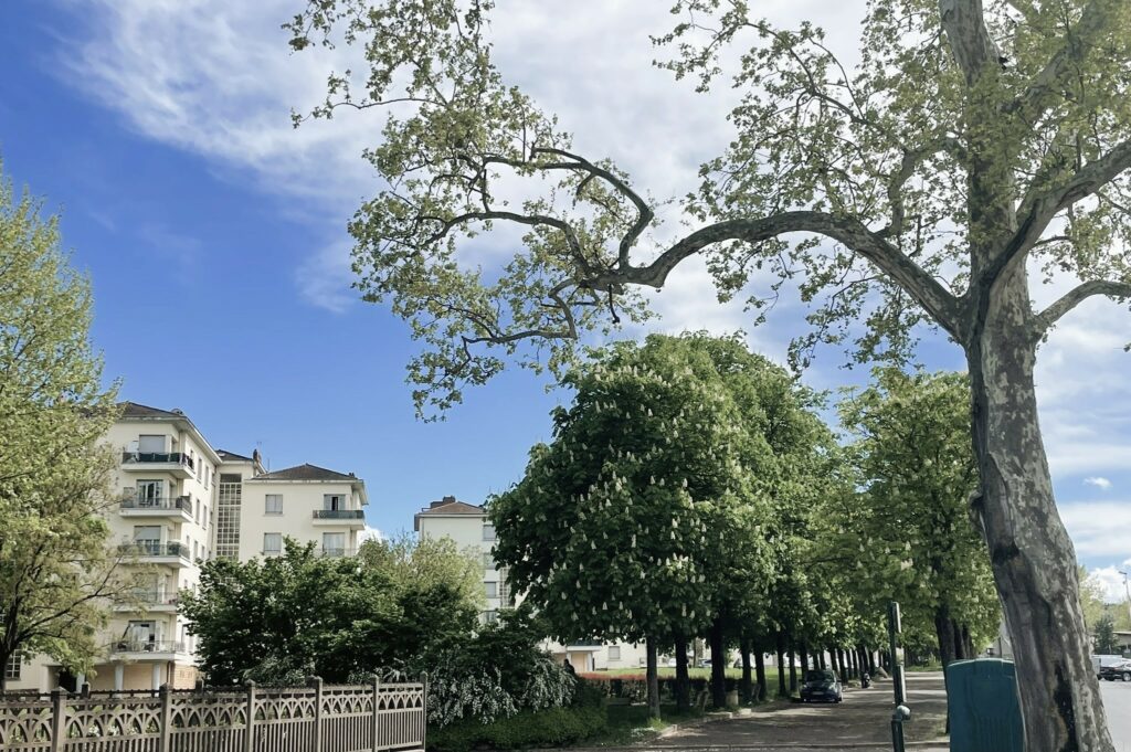 Vue du quartier de Belleroche à Villefranche – Un territoire en transition au cœur d’un projet de renouvellement urbain inclusif