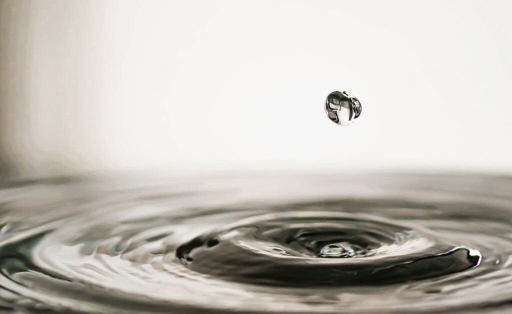 Sobriété hydrique dans les projets immobiliers – Penser la gestion raisonnée de l’eau dès la conception